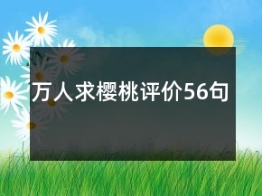 万人求樱桃评价56句