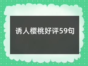 诱人樱桃好评59句