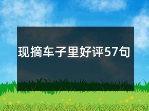 现摘车子里好评57句