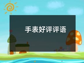 手表好评评语