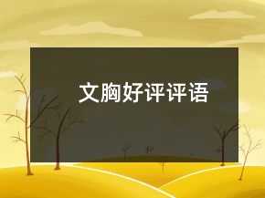 文胸好评评语