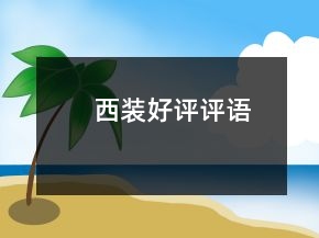 西装好评评语