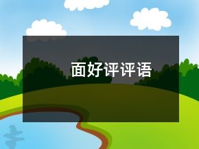 面好评评语