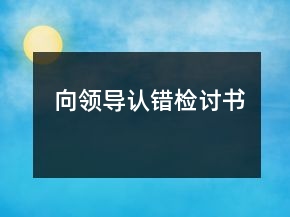 向领导认错检讨书