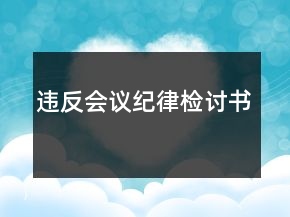违反会议纪律检讨书