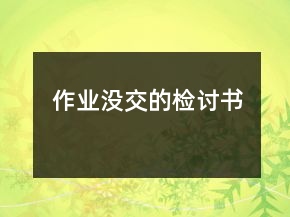 作业没交的检讨书