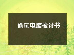 偷玩电脑检讨书