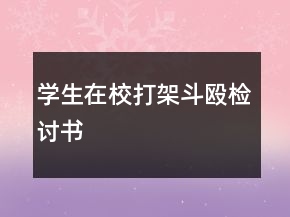 学生在校打架斗殴检讨书