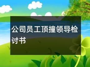 公司员工顶撞领导检讨书