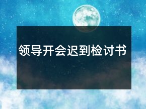 领导开会迟到检讨书