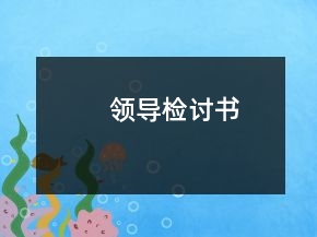 领导检讨书