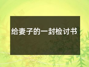 给妻子的一封检讨书