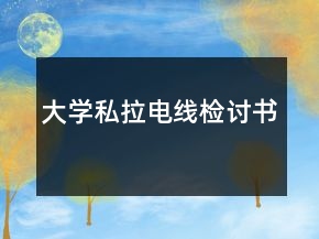 大学私拉电线检讨书