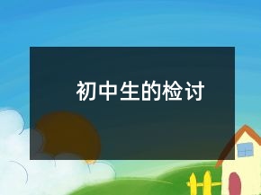 初中生的检讨