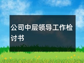 公司中层领导工作检讨书