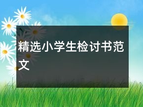 精选小学生检讨书范文