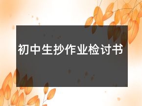 初中生抄作业检讨书