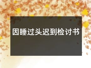 因睡过头迟到检讨书