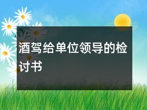 酒驾给单位领导的检讨书