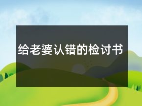 给老婆认错的检讨书