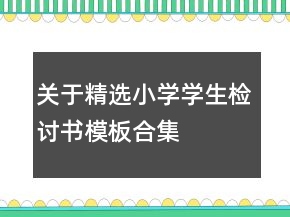 关于精选小学学生检讨书模板合集