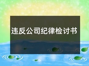 违反公司纪律检讨书