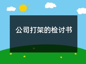 公司打架的检讨书