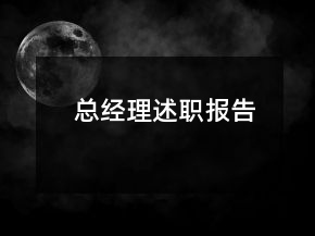 总经理述职报告