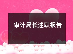 审计局长述职报告