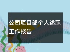 公司项目部个人述职工作报告
