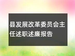 县发展改革委员会主任述职述廉报告