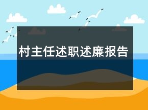 村主任述职述廉报告