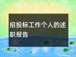 招投标工作个人的述职报告