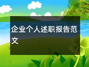 企业个人述职报告范文