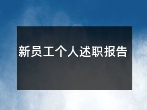 新员工个人述职报告