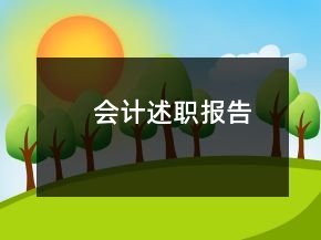 会计述职报告