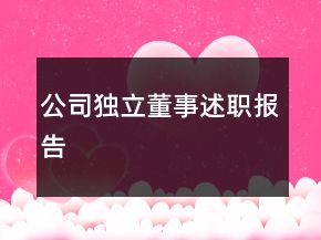 公司独立董事述职报告