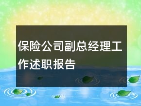 保险公司副总经理工作述职报告