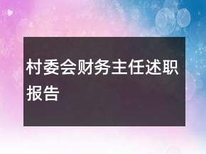 村委会财务主任述职报告