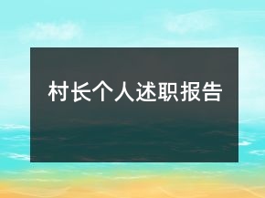 村长个人述职报告