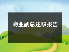 物业副总述职报告