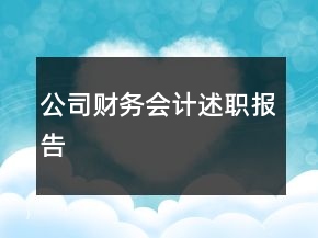 公司财务会计述职报告