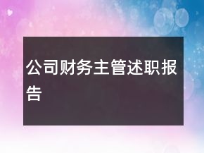 公司财务主管述职报告