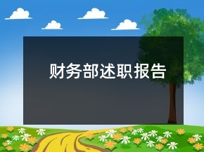 财务部述职报告