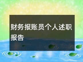 财务报账员个人述职报告