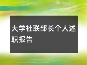 大学社联部长个人述职报告