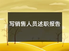 写销售人员述职报告