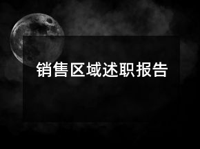 销售区域述职报告