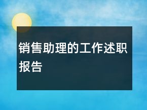 销售助理的工作述职报告