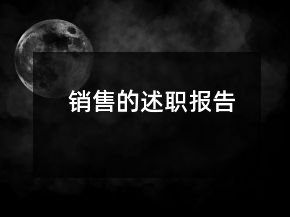 销售的述职报告